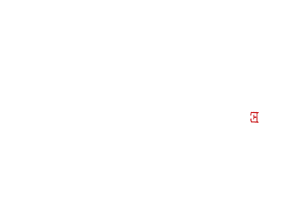 Mário Pedrosa ⁄ As influências no trotskismo de Pedrosa